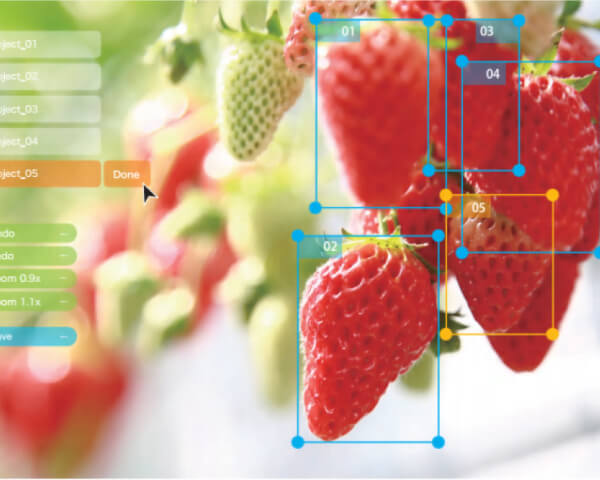アノテーション